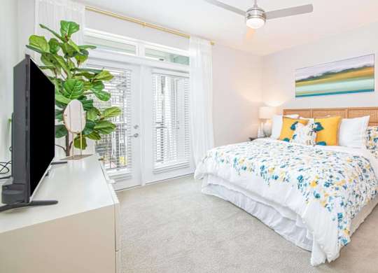 A bedroom with a bed, a television, and a plant.