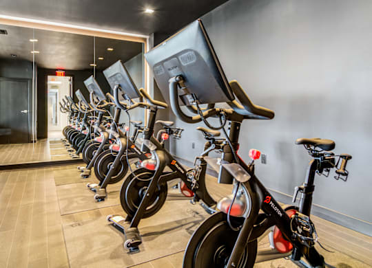 A row of stationary bikes are lined up in a room.