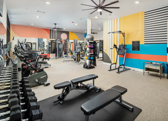 a gym with weights and cardio equipment and a colorful wall