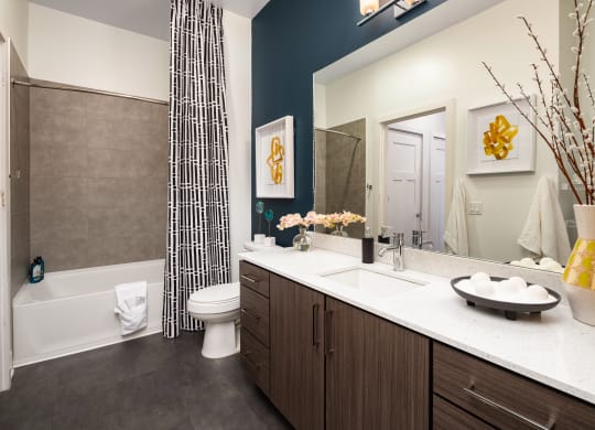 a bathroom with a sink and a toilet and a shower