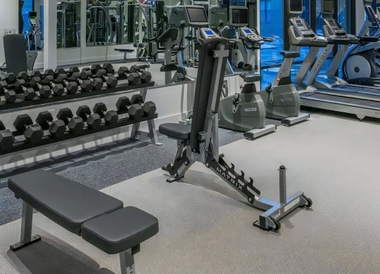 Free Weights and Cardio Machines