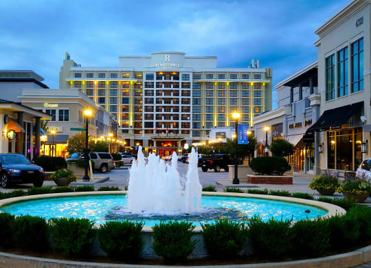 Premium Shops and Dining Nearby