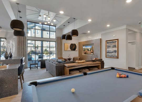 Community Lounge with Pool Table