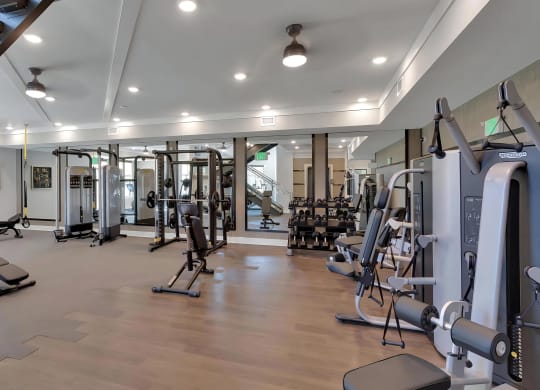 Large Fitness Studio with Training Equipment