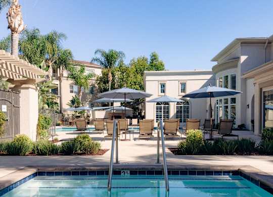 Pool at Amerige Pointe with entry steps and handrails, ringed by lounge chairs, umbrellas, and mature palm trees.