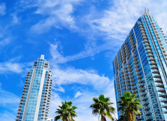 Sunny Day in Tampa Featuring Glass High-Rise Towers with Palm Trees
