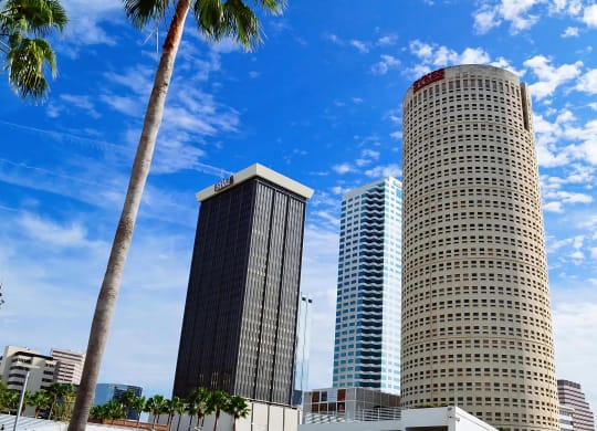 Downtown Tampa High-Rises and Palms Near Anchor Riverwalk Community