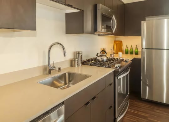 Ballard Lofts Apartment Amenities Cesarstone Countertops and Stainless Appliances