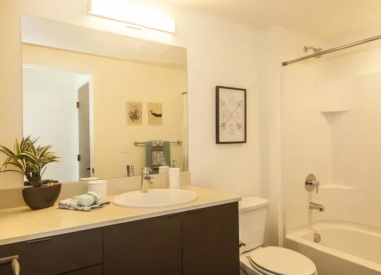 Ballard Lofts Apartment Amenities Spacious Bathrooms with Mounted Lighting and Plenty of Storage Space