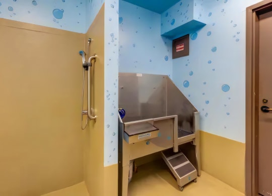 Ballard Lofts Community Amenities Dog Wash