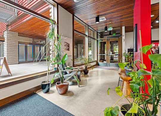 Lobbu with a lot of green plants and a blue rug.