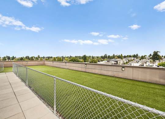 A chain link fence separates a green field from a sidewalk.