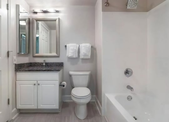 Luxury Bathrooms with Oversized  Soaking Tubs