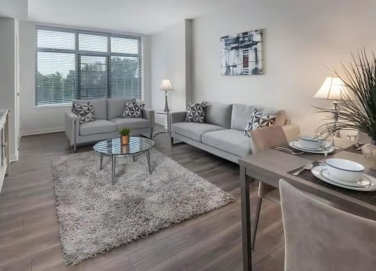 Modern Living Spaces