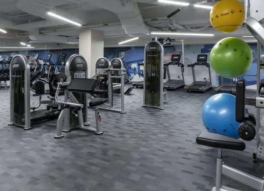 Studio with Cardio and Strength Training Machines
