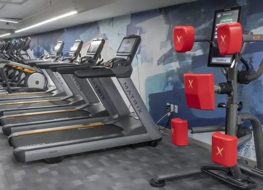 Studio with Cardio Machines