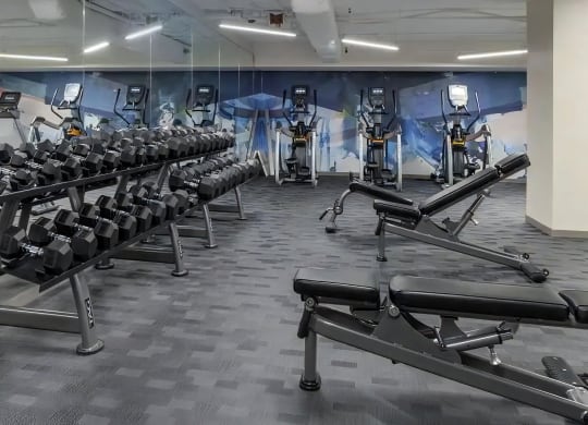 Studio with Free Weights