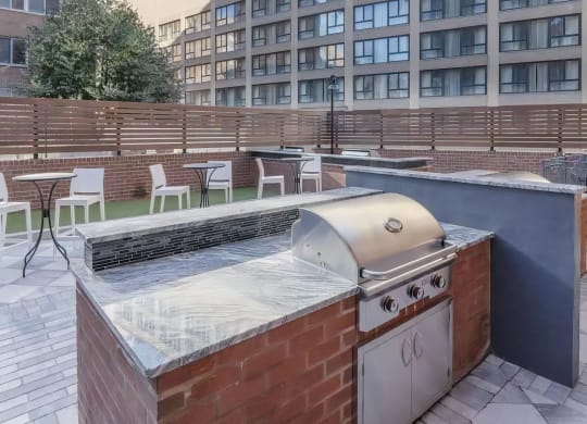 Outdoor Community Grilling Stations and Picnic Areas