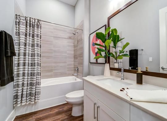 Master Bathrooms with High End Finishes