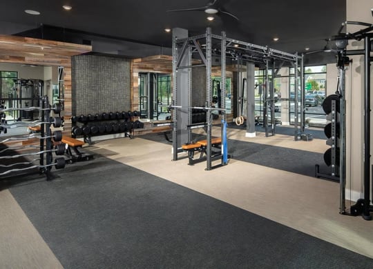 Fitness Studio with Cardio and Strength Machines
