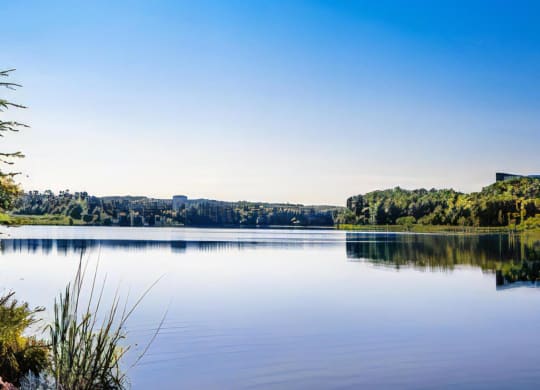 Crabtree Lake