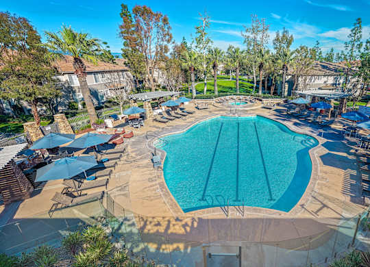 A large swimming pool surrounded by lounge chairs and umbrellas.