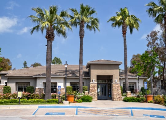a house with three palm trees in front of it