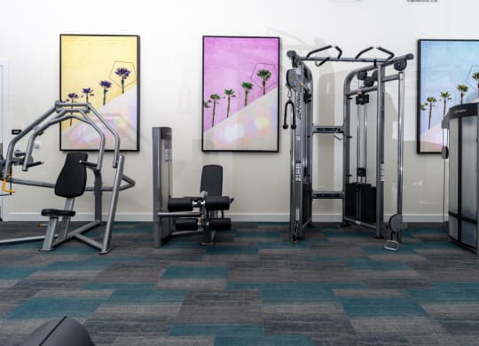a fitness room with cardio equipment and paintings on the wall