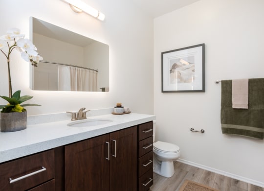 a bathroom with a large mirror and a sink and a toilet