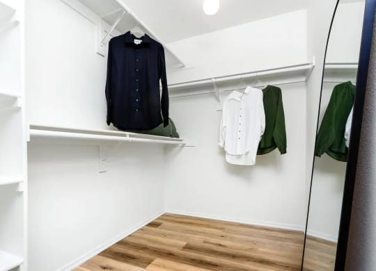 Large Walk In Closet
