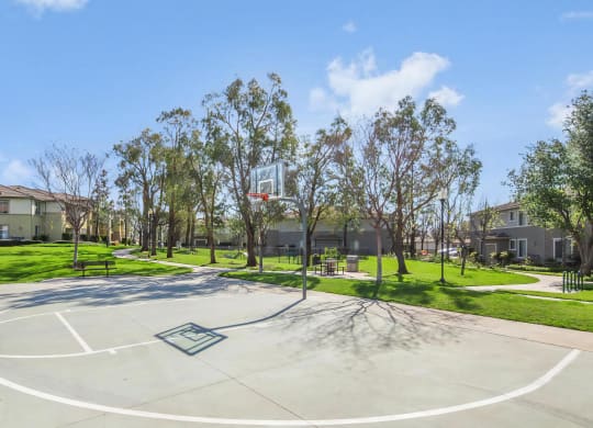 Outdoor Basketball Court Onsite