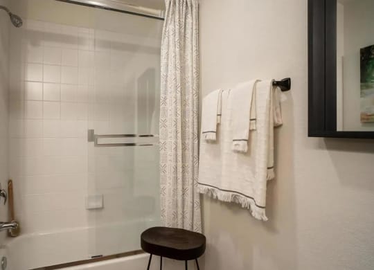 Shower and Soaking Tub Included