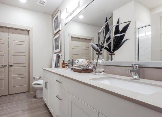 Double Sink Vanity with Sleek Fixtures and Neutral Cabinetry