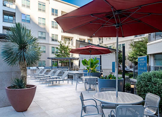 Modern Pool Deck with Dining Tables, Lounge Chairs, and Palm Landscaping