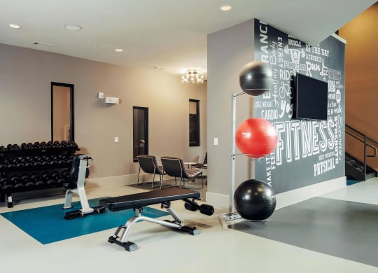 Gym Studio Featuring Adjustable Machines and Open-Use Workout Space