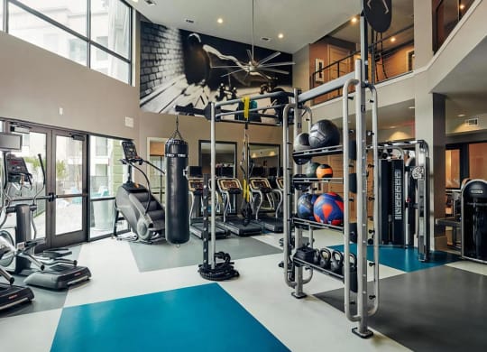 Fully Equipped Fitness Room Featuring Cardio Equipment and Functional Trainer