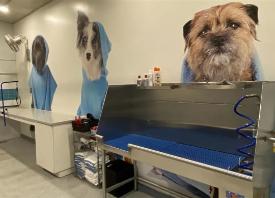 Fully Equipped Pet Grooming Station with Bath Area and Storage