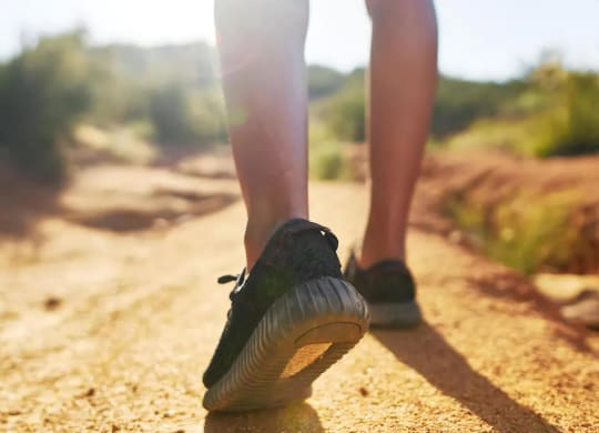 Get Outdoors on Scenic Paths Close to Domain at The Gate