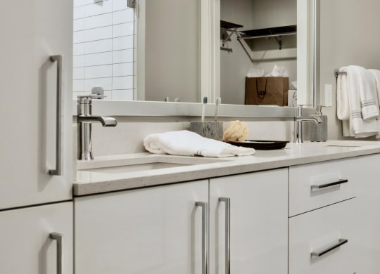 Double Vanity Sinks with Cabinet Storage