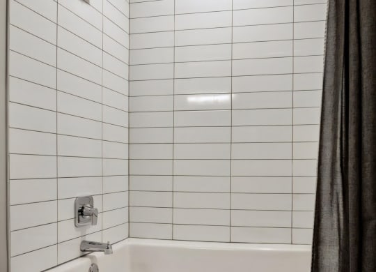 Spa Inspired Bathroom with Large Soaking Tub
