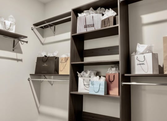 Spacious Walk In Closet with Built In Shelves