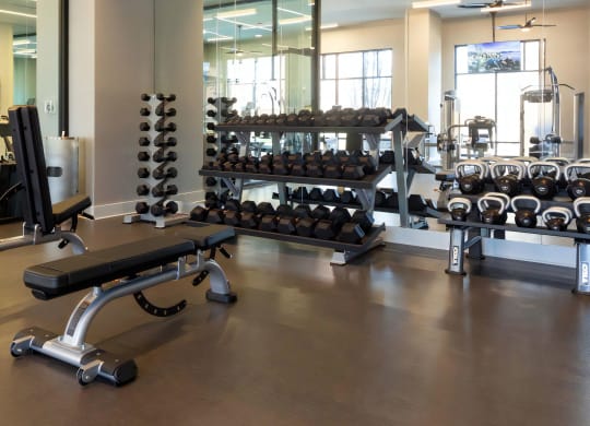 Free Weights Included In Studio