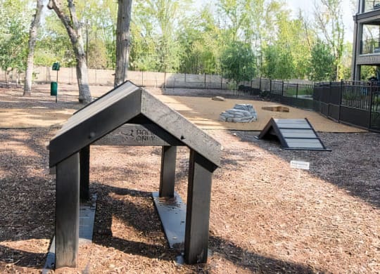 Pet-Friendly Park with Training Equipment and Open Space