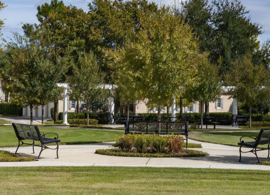 Courtyard with Benches