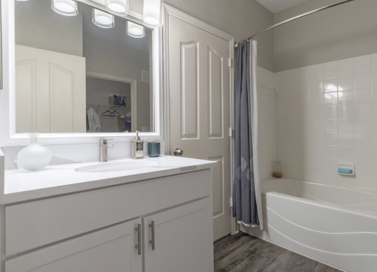 a bathroom with a sink and a tub and a mirror