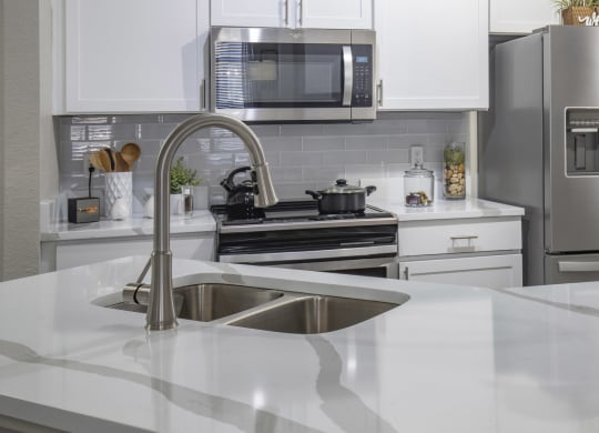 a kitchen with a sink and a cat on the counter