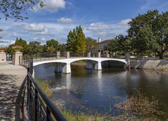 a bridge over a body of water with trees