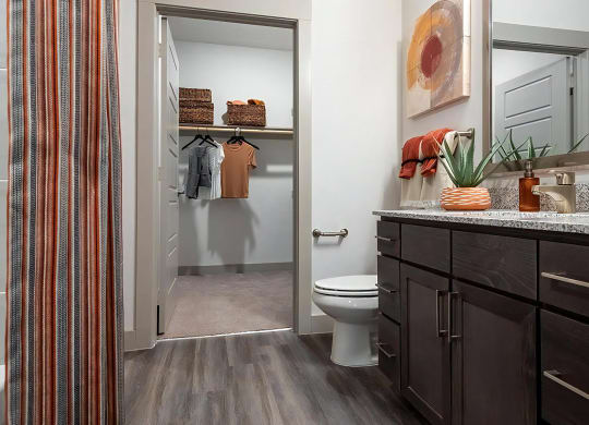 Ensuite Bathroom Connected to Spacious Walk-In Closet