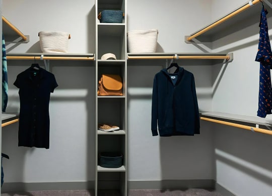 Large Closet with Multiple Hanging Bars