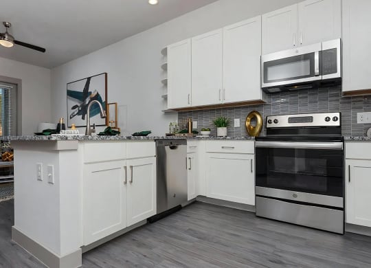 Modern Kitchen with Stainless Steel Appliances and Ample Cabinet Storage